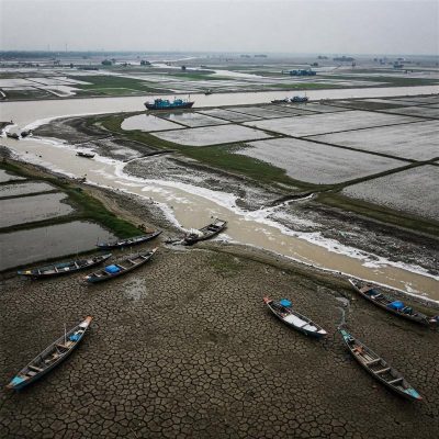 ngập mặn DBSCL 2025
